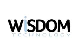 Wisdom Technology Logo