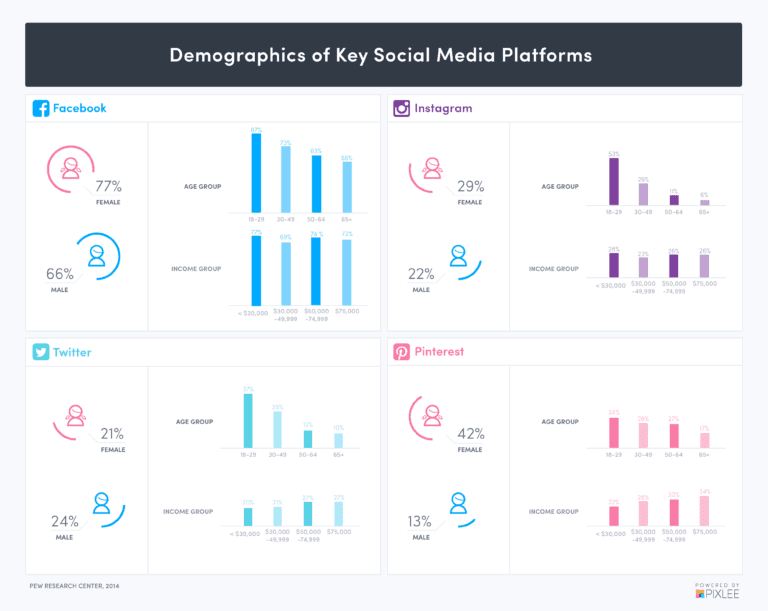 Demographics of Key Social Media Platforms