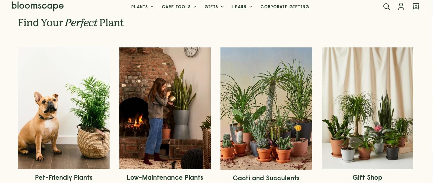 screenshot of bloomscape website