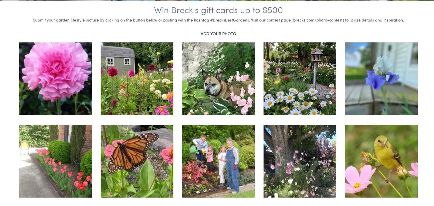 breck's social photo contest landing page