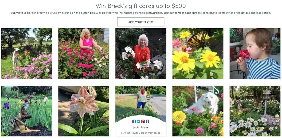 Breck's Gardening Contest