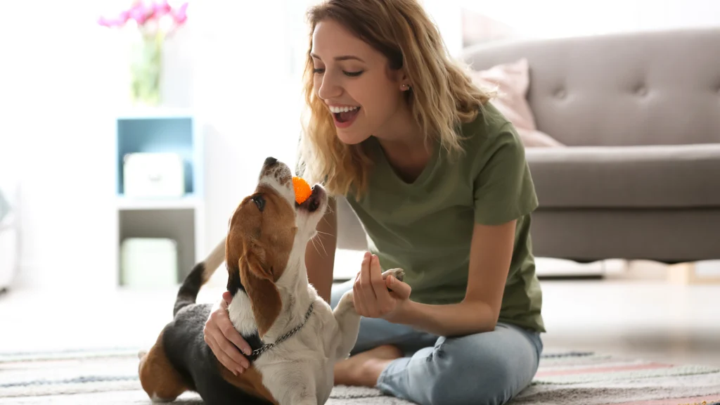 woman playing with dog